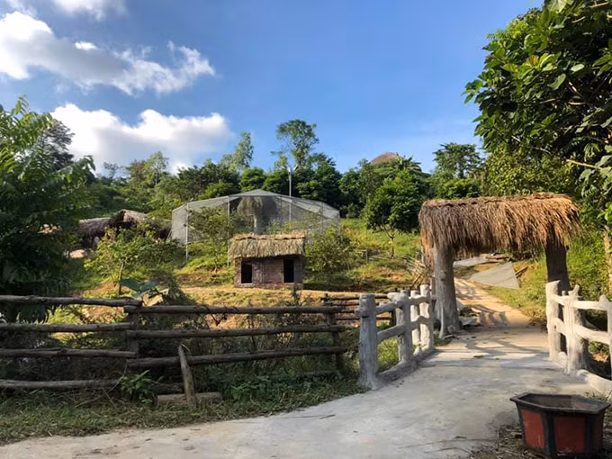 Nam nghệ sĩ sử dụng những vật liệu thân thiện với môi trường như gỗ, tre, nứa...Ảnh: Vietnamnet