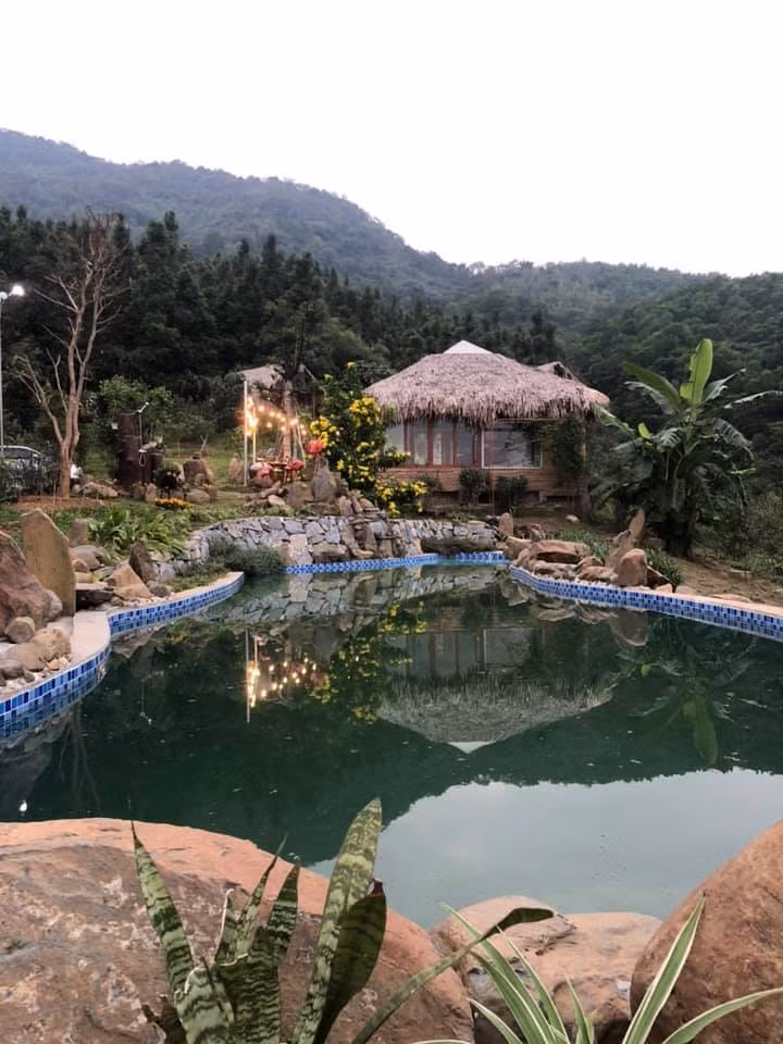 Trang trại của Việt Hoàn gần như không có bê tông. Ảnh: Vietnamnet