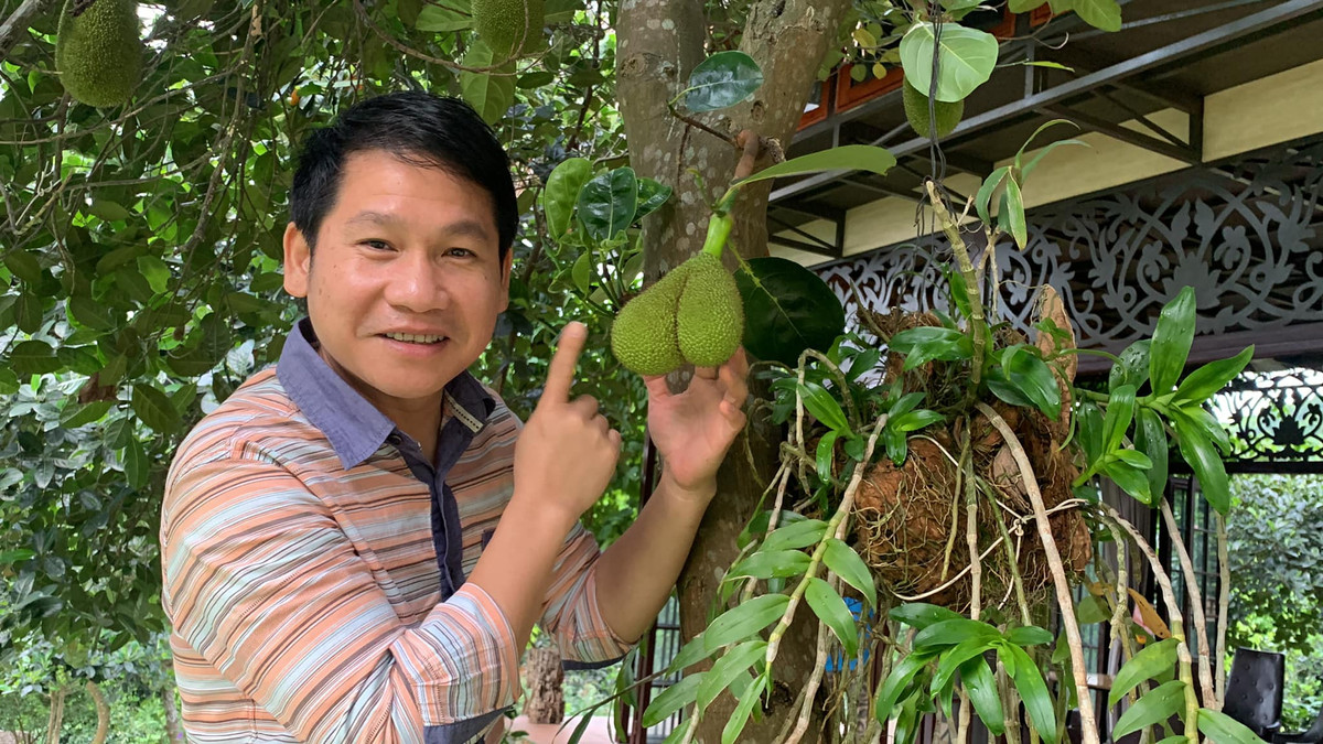 Nam ca sĩ Trọng Tấn hào hứng nhớ lại tuổi thơ khi đi tìm mít chín, vào bếp luộc ngô. Ảnh: FB Trong Tan