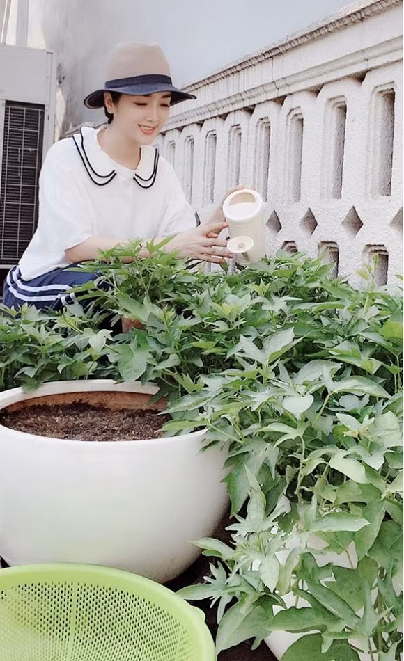 Giáng My hào hứng với công việc làm vườn.