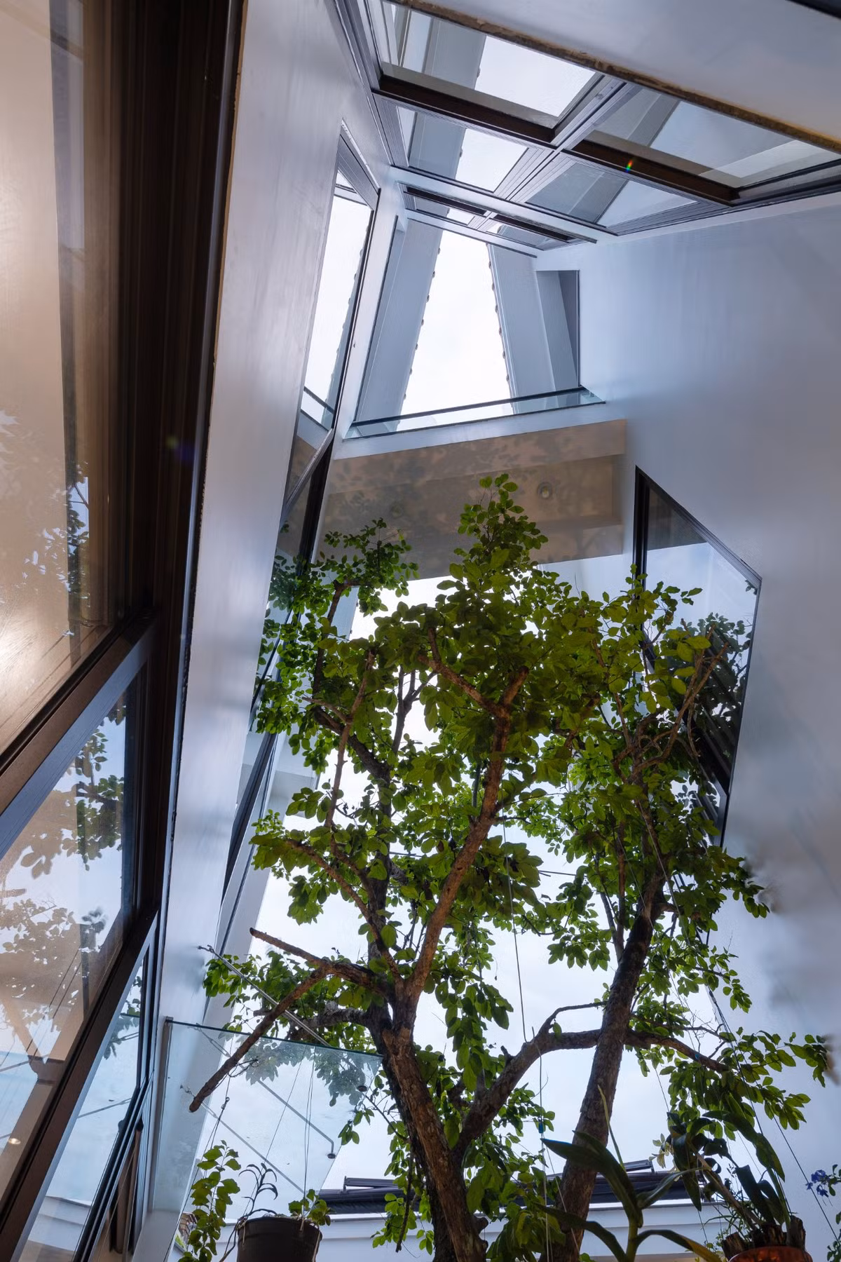 Một lõi xanh được bố trí tại trung tâm của ngôi nhà vừa làm khoảng đệm chuyển tiếp với khu vực kinh doanh ồn ào vừa là nơi sân trong hướng nội của gia đình.