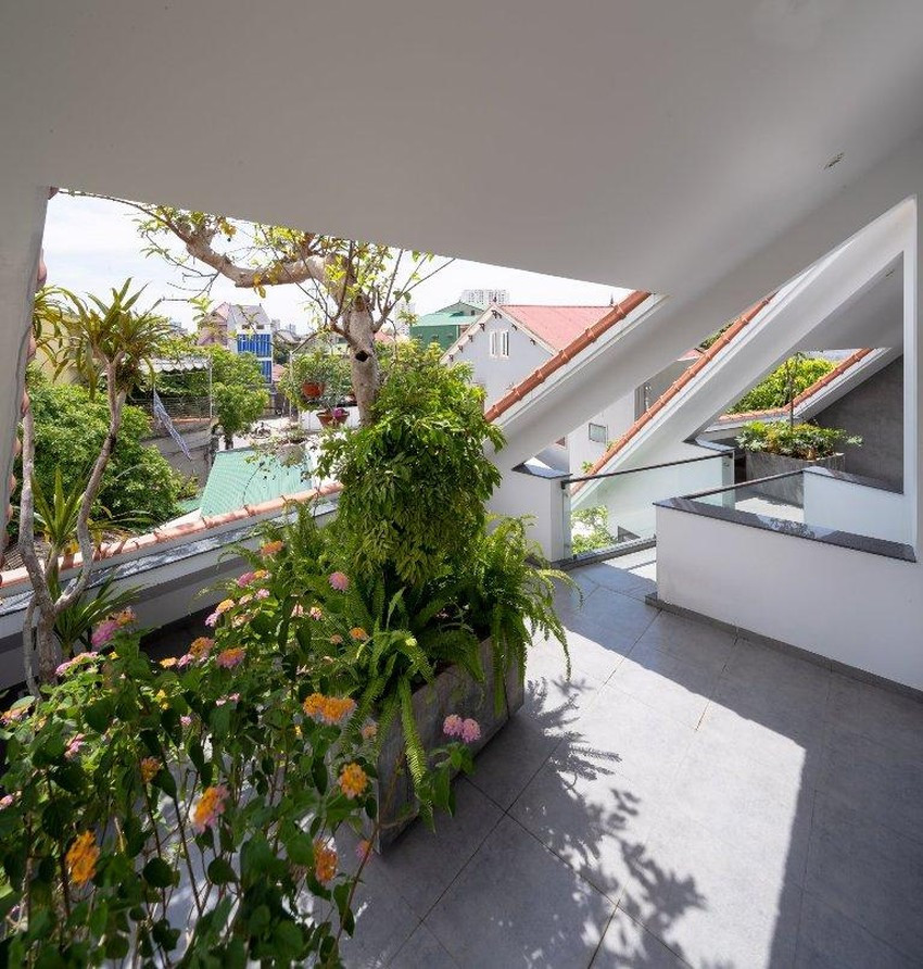 Khu vườn rợp bóng cây trên sân thượng. Nguồn ảnh: Triệu Chiến