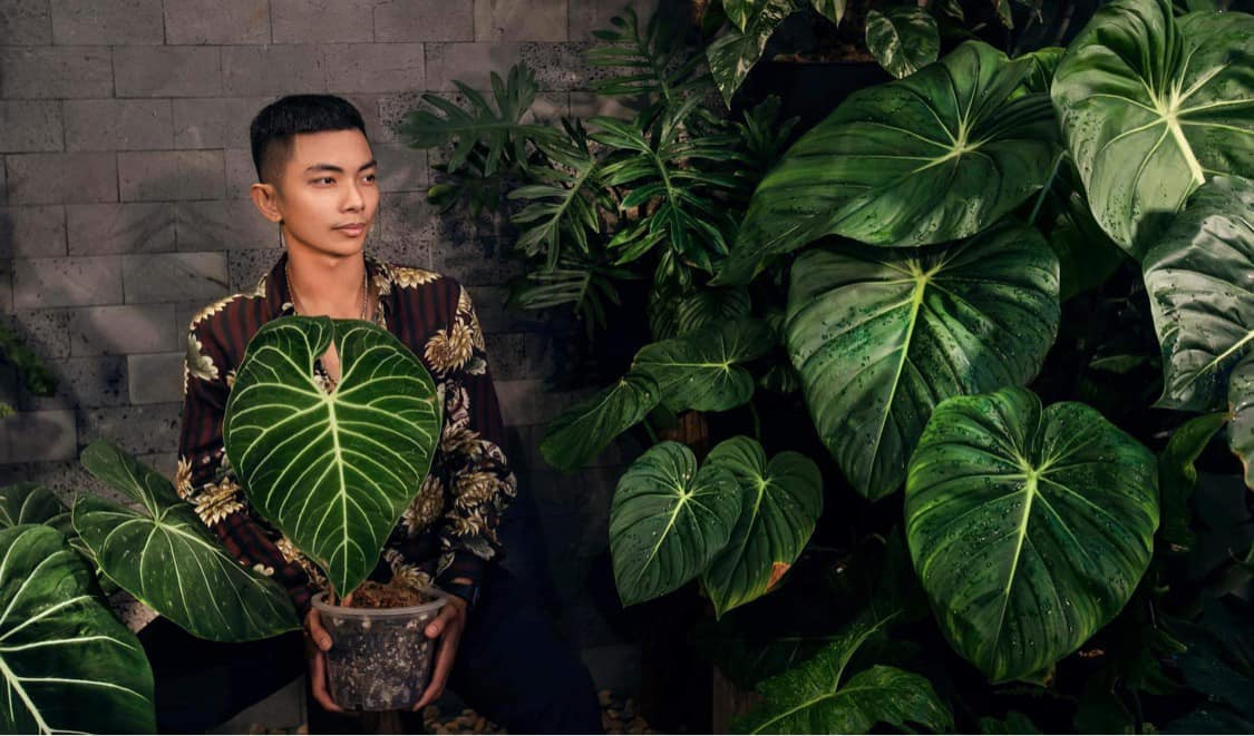 Đó là vườn kiểng lá mà vợ chồng Khánh Thi - Phan Hiển đầu tư, chăm sóc suốt hơn một năm qua.