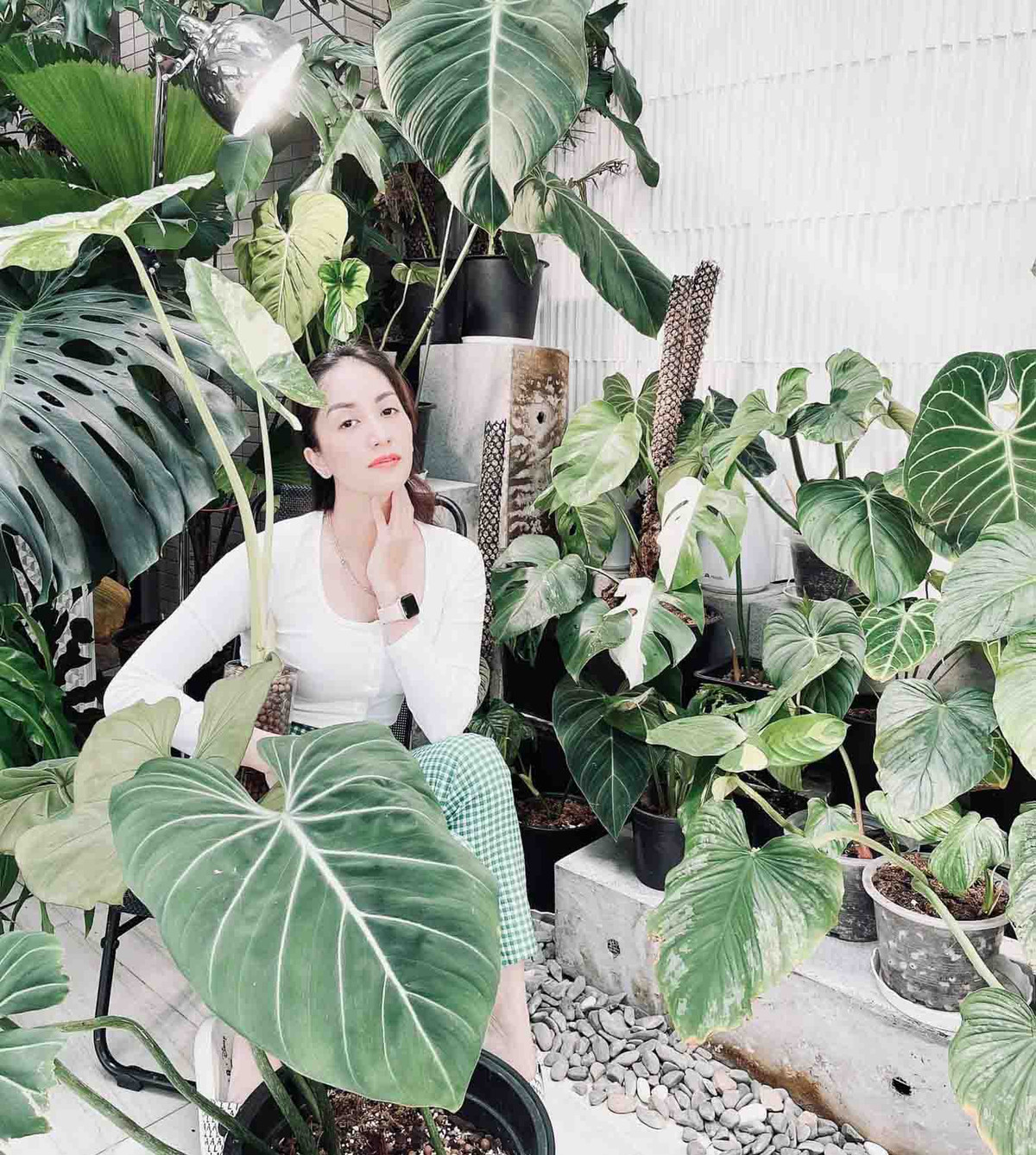 Khu vườn kiểng lá của Khánh Thi - Phan Hiển xanh mướt, đủ loại cây, trong đó có nhiều dòng cây đột biến, lá màu đẹp và độc lạ.