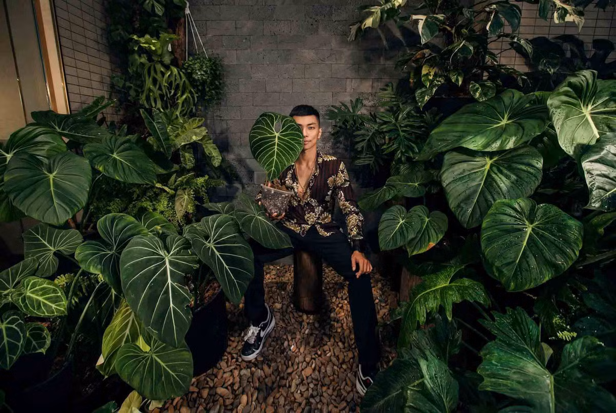 Phan Hiển - Khánh Thi thường xuyên check-in tại một không gian ngập cây cối xanh mướt.