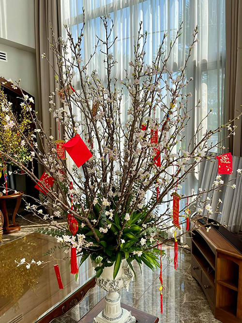 Nữ ca sĩ còn trang trí thêm cho căn nhà mình bằng chậu đào sakura Nhật Bản.