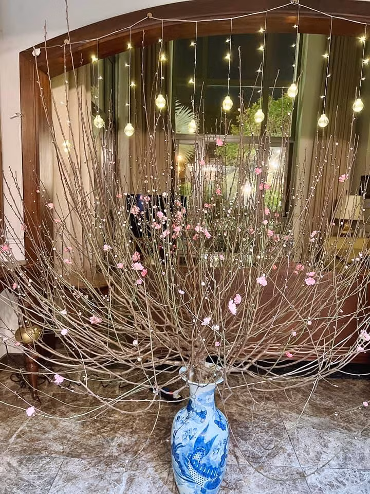 Nhiều người dự đoán, đây sẽ là nơi để cô nàng cũng như các thành viên trong gia đình tha hồ chụp ảnh trong ngày xuân.