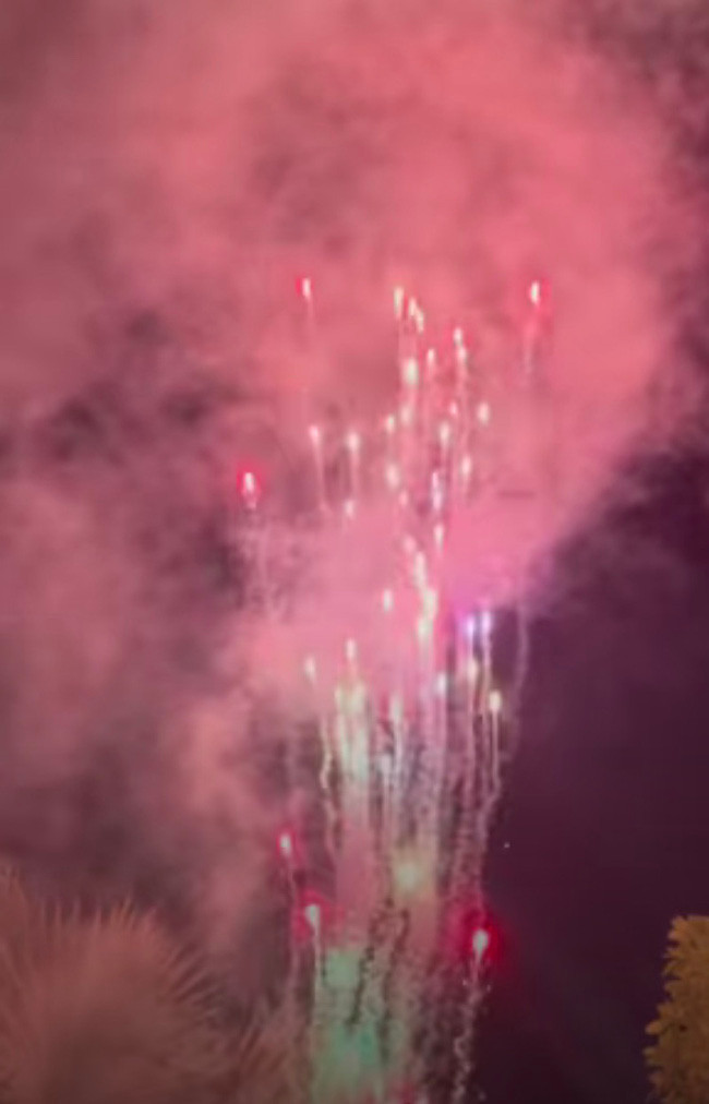 Trước đó, Bảo Thy còn thông báo sẽ bắn pháo hoa vào đêm giao thừa làm dân tình nôn nao xem cách nhà giàu ăn Tết. Nguồn ảnh: Instagram, FBNV