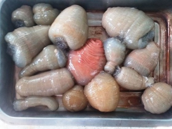 Theo người dân địa phương, càng cuối năm, rum biển càng đắt hàng và không phải cứ có tiền là mua được. Ảnh: Vietnamnet