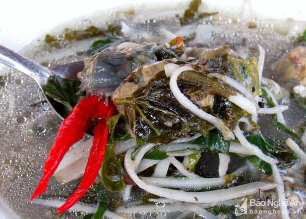 Rum biển có thể chế biến thành nhiều món ăn ngon, trong đó món rum om chuối và canh rum được nhiều người ưa chuộng. Ảnh: Báo Nghệ An