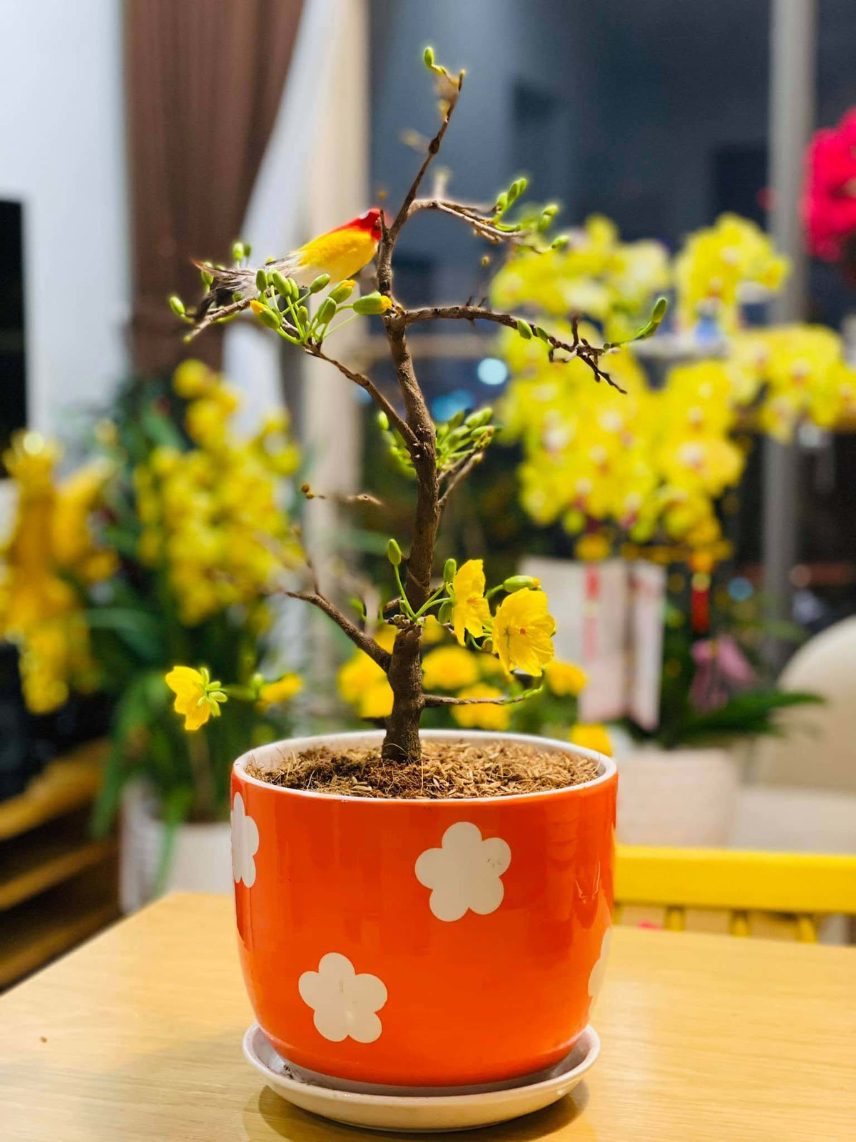 Dịp Tết 2021, Quang Lê thường xuyên chia sẻ những hình ảnh trong căn nhà này với không gian bên trong được trang trí nhiều hoa tươi rực rỡ. Ảnh: FBNV