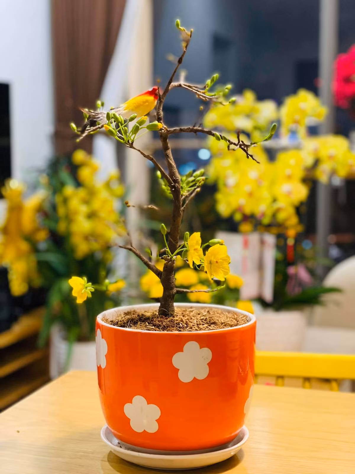 Dịp Tết 2021, Quang Lê thường xuyên chia sẻ những hình ảnh trong căn nhà này với không gian bên trong được trang trí nhiều hoa tươi rực rỡ. Ảnh: FBNV