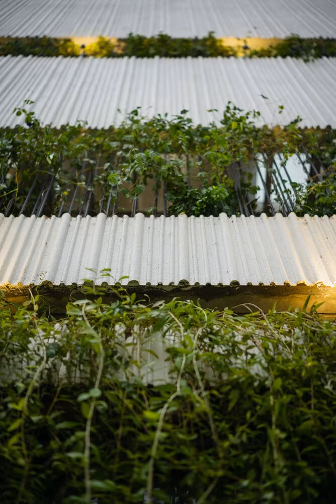 Ngay từ mặt tiền, ngôi nhà phố đã gây ấn tượng bởi những mảng xanh đan xen với phần tường đặc giúp giảm thiểu tác động của nắng hướng Tây và hạn chế tối đa tầm nhìn.