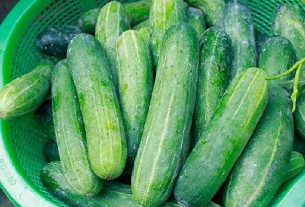 Muon biet dua chuot co bi tam hoa chat hay khong hay nhin diem nay