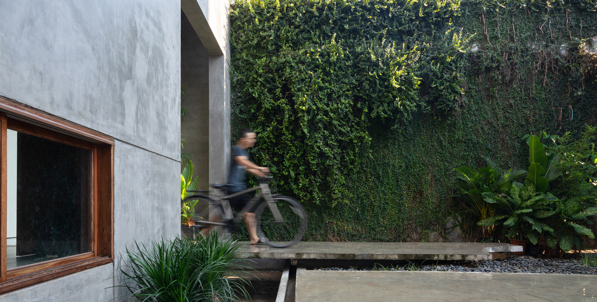 Hệ thống cây leo tự nhiên được giữ lại, chăm sóc trong quá trình xây dựng và góp phần quan trọng tạo nên cảm xúc trên hành lang bê tông thô ráp của nhà phố. Nguồn ảnh: Trieu Chien