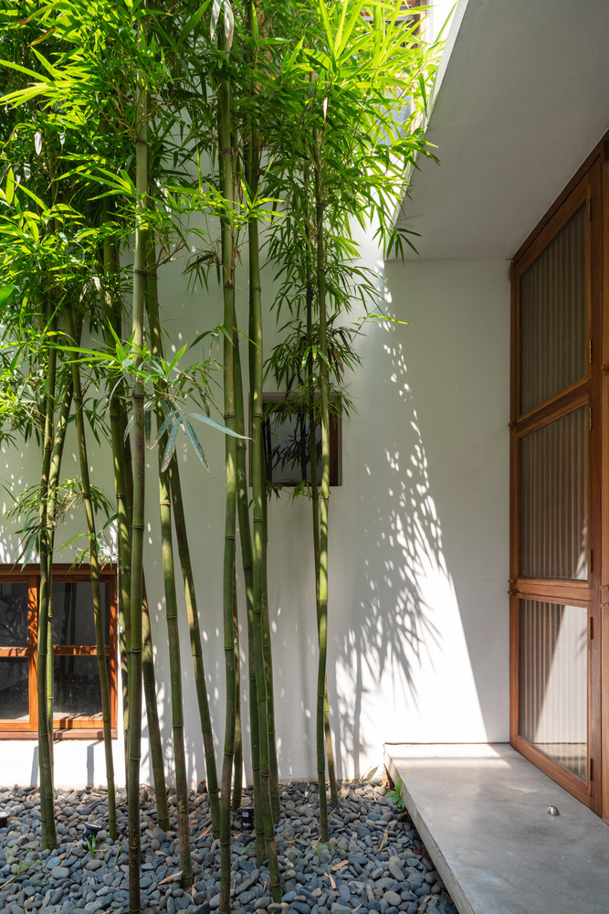 Tre xuất hiện ở cả ba khoảng sân trong căn nhà góp phần tạo mảng xanh và những đường nét khỏe khoắn.