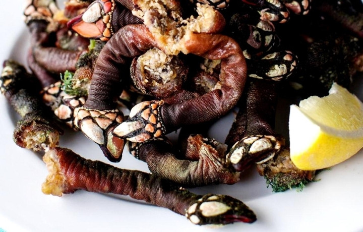 Một pound hà ngỗng thiên nhiên có thể bán tới 80 USD, tương đương với gần 5 triệu đồng/kg. Ảnh: BI