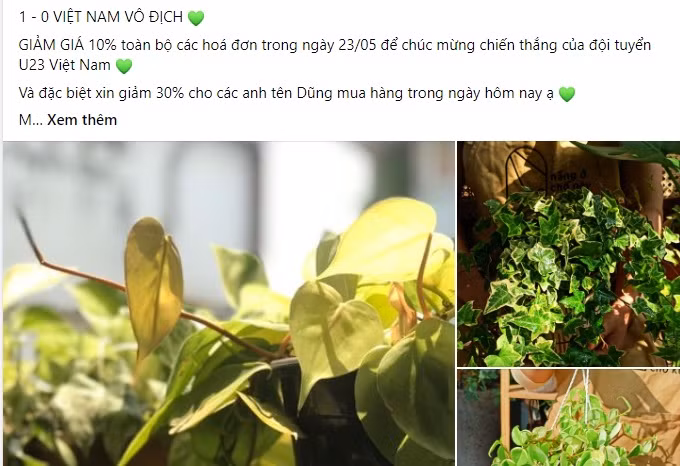 “Bao” giam gia chuc mung U23 Viet Nam vo dich SEA Games-Hinh-2