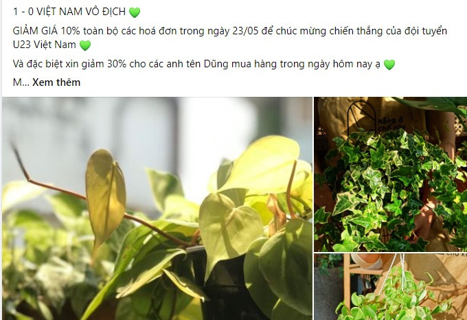 “Bao” giam gia chuc mung U23 Viet Nam vo dich SEA Games-Hinh-2