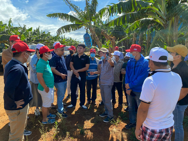  Bầu Đức cùng Ban lãnh đạo Tập đoàn trực tiếp hướng dẫn các cổ đông, nhà đầu tư thăm vườn chuối, nhà máy chế biến chuối xuất khẩu, nhà máy chế biến thức ăn chăn nuôi và trang trại chăn nuôi heo ăn chuối. Ảnh: HAGL