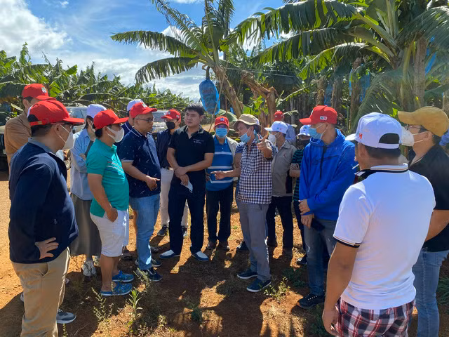  Bầu Đức cùng Ban lãnh đạo Tập đoàn trực tiếp hướng dẫn các cổ đông, nhà đầu tư thăm vườn chuối, nhà máy chế biến chuối xuất khẩu, nhà máy chế biến thức ăn chăn nuôi và trang trại chăn nuôi heo ăn chuối. Ảnh: HAGL