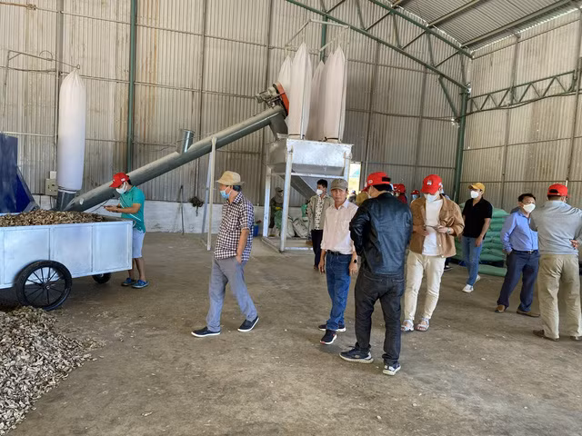 Bầu Đức có mặt tại nhà máy chế biến thức ăn chăn nuôi và trang trại chăn nuôi heo ăn chuối. Ảnh: HAGL