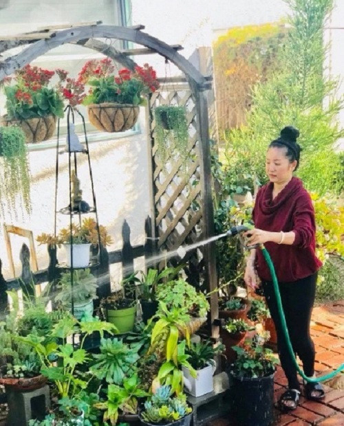 Trong biệt thự còn có cả khoảng vườn nhỏ làm nơi thư giãn.