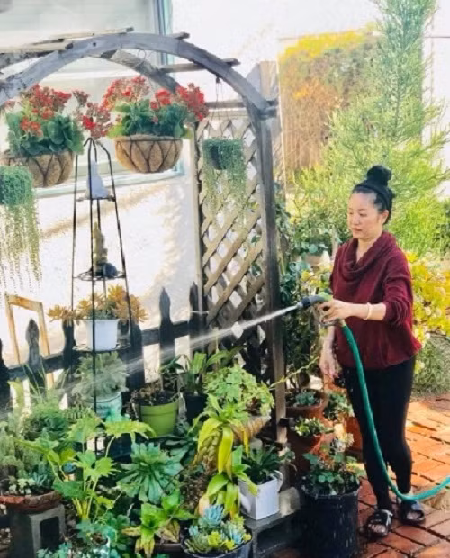 Trong biệt thự còn có cả khoảng vườn nhỏ làm nơi thư giãn.