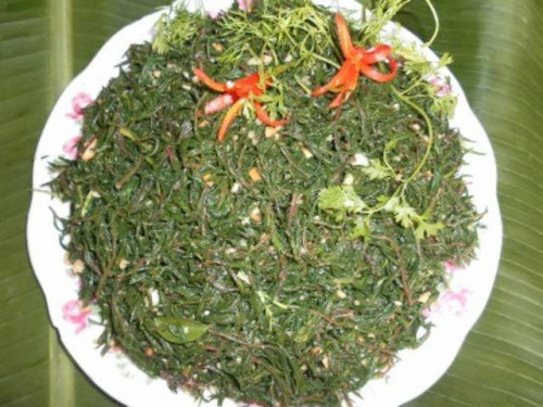 Hiện, giá rau nhót lên tới 50.000 đồng/kg song cũng ít bán ở thành phố. Ảnh: Suckhoedoisong