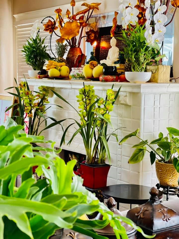 Khắp không gian trong nhà đều có cây xanh. Ảnh: FBNV