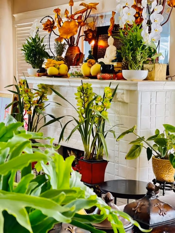 Khắp không gian trong nhà đều có cây xanh. Ảnh: FBNV