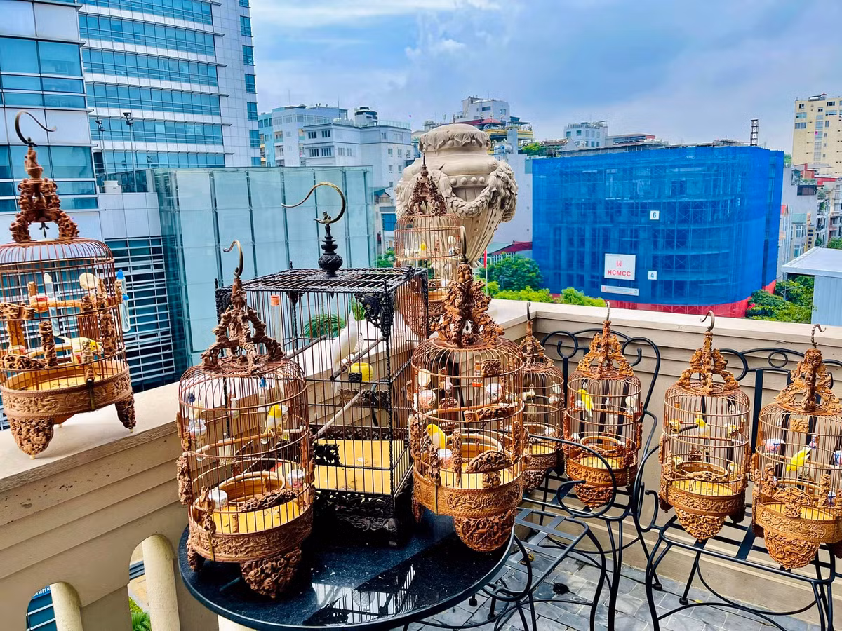 Đến nay, Chương Tailor có gần 100 chú chim đột biến với tổng trị giá hơn 10 tỷ đồng. Ngoài ra, anh cũng bỏ ra hơn 10 tỷ để mua lồng nuôi những chú chim đó. Nguồn ảnh; FBNV