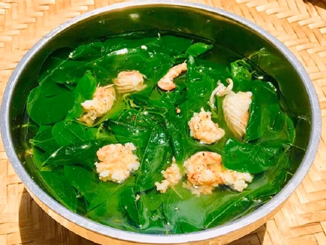 Được trồng và chăm sóc hoàn toàn tự nhiên, rau sen có giá lên tới cả trăm nghìn đồng/kg. Ảnh: Thoidaiplus