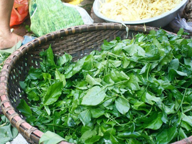 Loài rau này cũng được người dân bản địa chế biến nhiều món như luộc, xào thịt bò, xào tôm hay nấu canh đều rất ngon. Ảnh: Internet