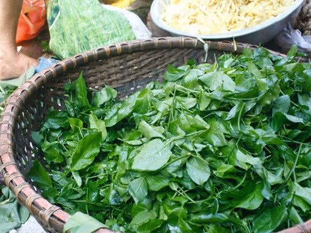 Loài rau này cũng được người dân bản địa chế biến nhiều món như luộc, xào thịt bò, xào tôm hay nấu canh đều rất ngon. Ảnh: Internet