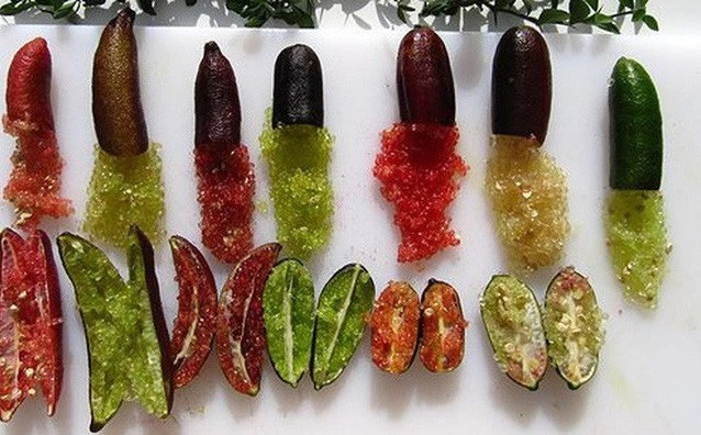 Chanh ngón tay hình dáng lạ, màu sắc bắt mắt, vỏ mỏng. Đặc biệt, tép chanh tròn, mọng nước, màu xanh hoặc hồng nhạt với hình dạng giống hệt trứng cá hồi. Ảnh: Getty