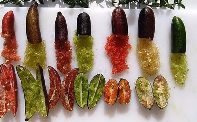 Chanh ngón tay hình dáng lạ, màu sắc bắt mắt, vỏ mỏng. Đặc biệt, tép chanh tròn, mọng nước, màu xanh hoặc hồng nhạt với hình dạng giống hệt trứng cá hồi. Ảnh: Getty