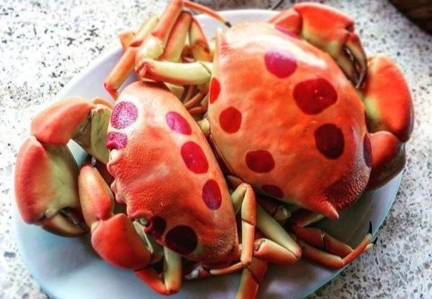 Giống như các loại hải sản khác, cua mặt trăng có thể chế biến thành nhiều món khác nhau như hấp bia, nướng mội, rang me...Ảnh: Zing