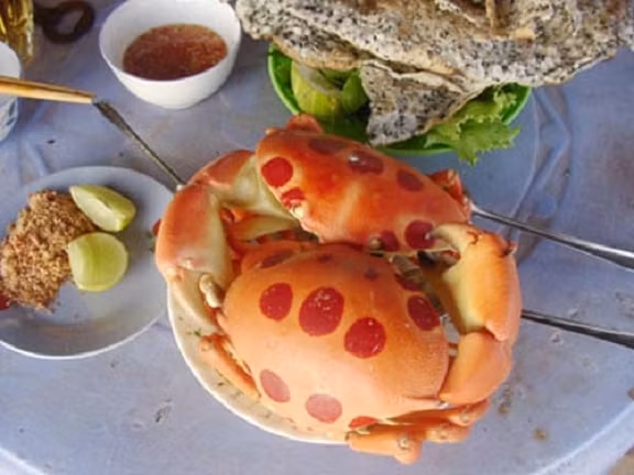 Nhiều thực khách còn cho rằng thịt cua mặt trăng thịt còn ngon hơn cả cua huỳnh đế. Ảnh: VOV