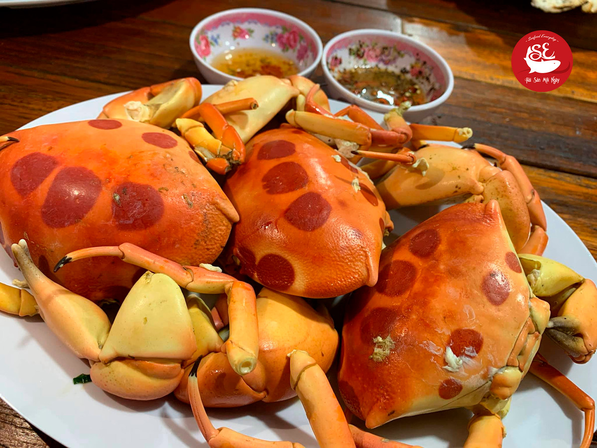 Hiện nay, cua mặt trăng được các thương lái ở một số tỉnh lân cận đảo Phú Quý săn tìm cua mặt trăng để bán cho khách sạn 5 sao và nhà hàng sang trọng. Ảnh: Haisanmoingay