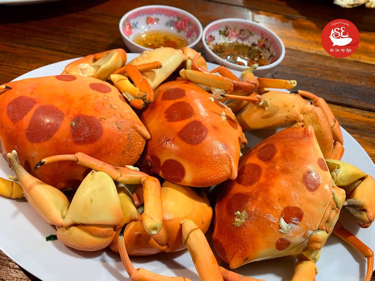 Hiện nay, cua mặt trăng được các thương lái ở một số tỉnh lân cận đảo Phú Quý săn tìm cua mặt trăng để bán cho khách sạn 5 sao và nhà hàng sang trọng. Ảnh: Haisanmoingay