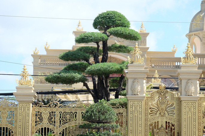 Cuoc doi chim noi cua nhung dai gia so huu “lau dai” dat vang