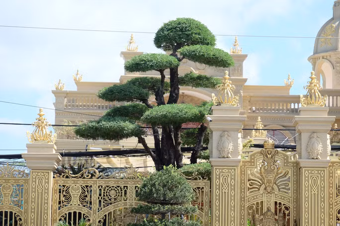 Cuoc doi chim noi cua nhung dai gia so huu “lau dai” dat vang