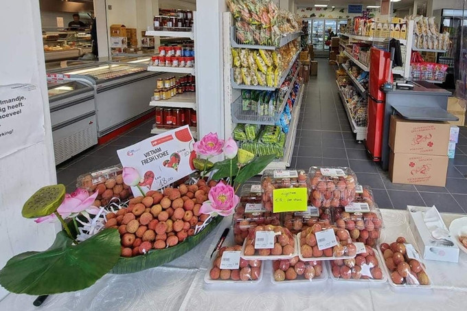 Cũng trong năm 2021, lần đầu vải thiều Việt được nhập khẩu chính ngạch sang Hà Lan với tem truy xuất nguồn gốc, giá bán hơn 500.000 đồng/kg. Ảnh: Thương vụ Việt Nam tại Hà Lan