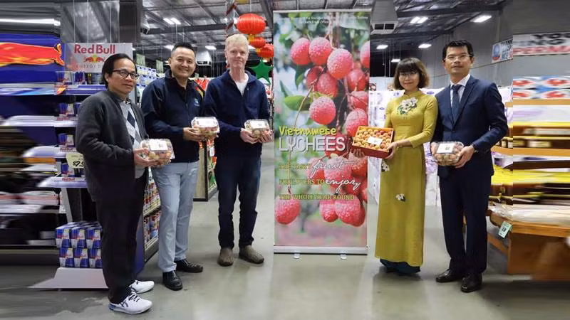 Tuy nhiên, trong phiên đấu giá đặc biệt tại thành phố Perth thuộc bang Tây Australia, hộp 1kg vải tươi Việt Nam “thượng hạng” nhập khẩu được mua với giá lên tới 3.000 AUD (khoảng 52 triệu đồng). Ảnh; Vneconomy