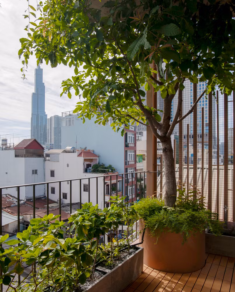 Để tạo nên không gian sống thoáng đãng, nhóm thiết kế bố trí khoảng lùi ba mét phía trước nhà và chỗ để xe cùng một khoảng sân khác phía sau nhà.