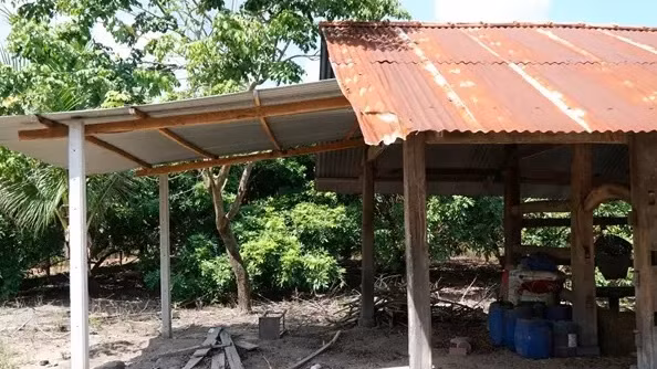 Trong khuôn viên nhà trồng khá nhiều cây xanh. Ảnh: Vietnamnet