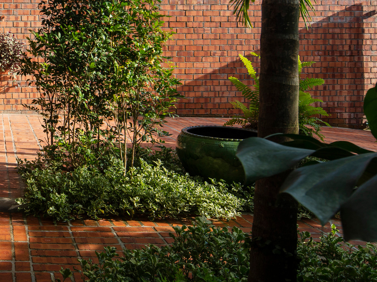 Cây xanh được trồng cả ở mặt trước và mặt sau, tạo nên lớp màng lọc, giảm nhiệt cho ánh nắng trước khi vào nhà.