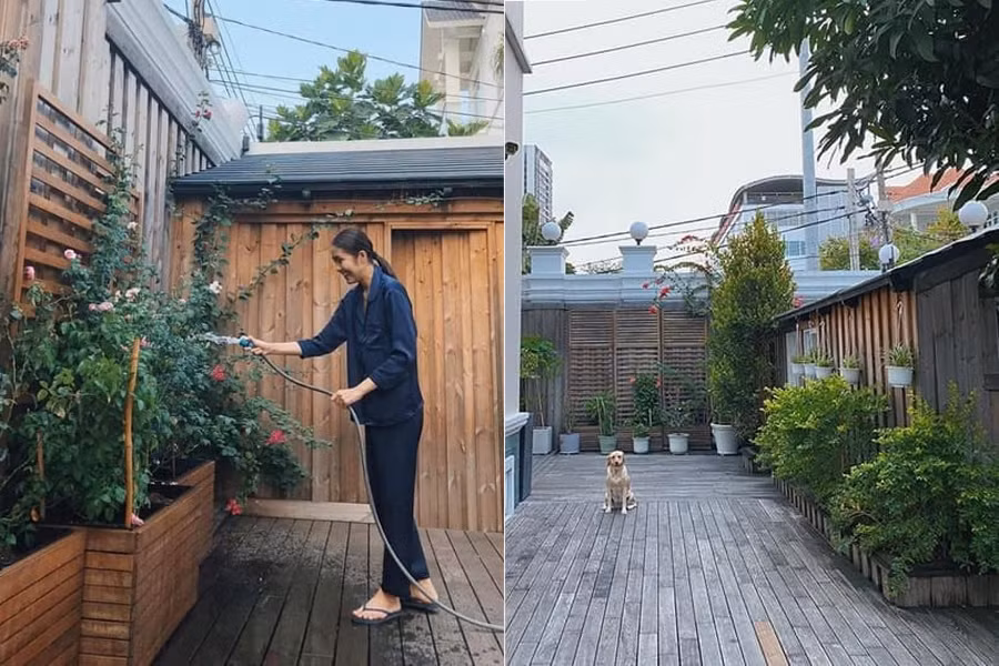 Một góc sân vườn được nữ diễn viên thiết kế thành vườn rau và trồng cây cảnh. Ảnh: FBNV