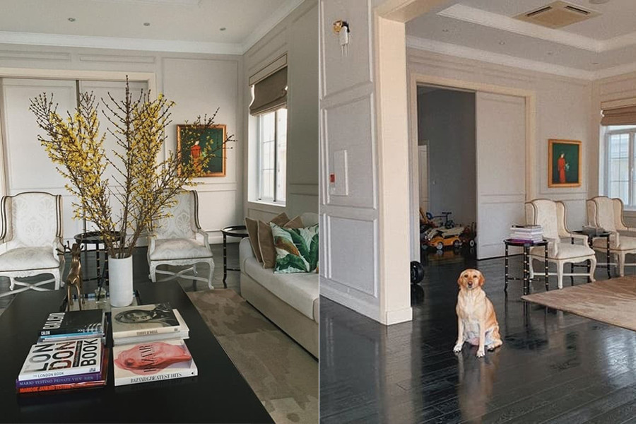 Biệt thự thiết kế đơn giản vừa sang trọng, hiện đại vừa tạo cảm giác mát mẻ, rộng rãi. Ảnh: Dân Việt